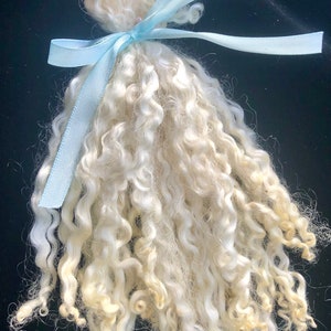 Silky Wensleydale lamb curly locks, hand washed and hand pulled, Pristine, beautiful locks 4 6 long, 1/2 ounce, no vm, felting, prime image 1