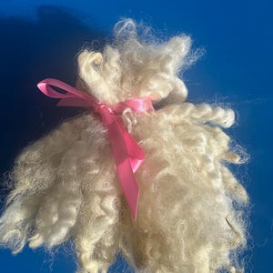 May include: A mass of light yellow wool fibers, tied with a bright pink satin ribbon. The wool has a fluffy, textured appearance, with a slightly wavy texture. The ribbon is tied in a simple bow.
