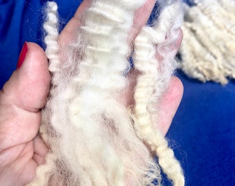 Silky Romney lamb fleece, high shine pristine 5”-6” locks,  hand washed and hand pulled curls, pristine and perfect  locks, 2 ounces, prime