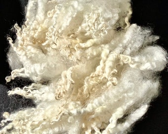 Silky, shiny Leicester longwool fleece, 2 ounces of hand washed,individual curls hand pulled, pristine locks 4”- 6” long, no vm, perfect
