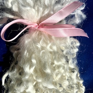 natural teeswater Fleece, hand pulled locks, soft and silky curls, felting curls , weaving locks, dollmaking,  hand washed 1/2 ounce.