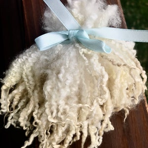 Silky BFL locks, hand washed and hand pulled. Pristine, beautiful locks 3” to 4” long 1/2 ounce, no vm, felting, spinning, perfect curls