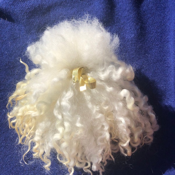 Silky Cottswold curly locks, hand washed and hand pulled. Pristine, beautiful  locks 4”-6” long, no vm, felting, spinning, 1/2 ounce, prime