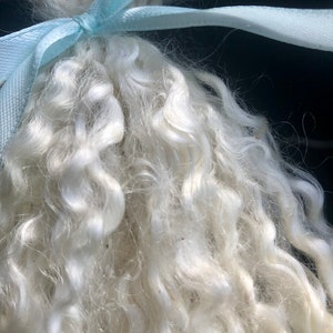 Silky Wensleydale lamb curly locks, hand washed and hand pulled, Pristine, beautiful locks 4 6 long, 1/2 ounce, no vm, felting, prime image 2