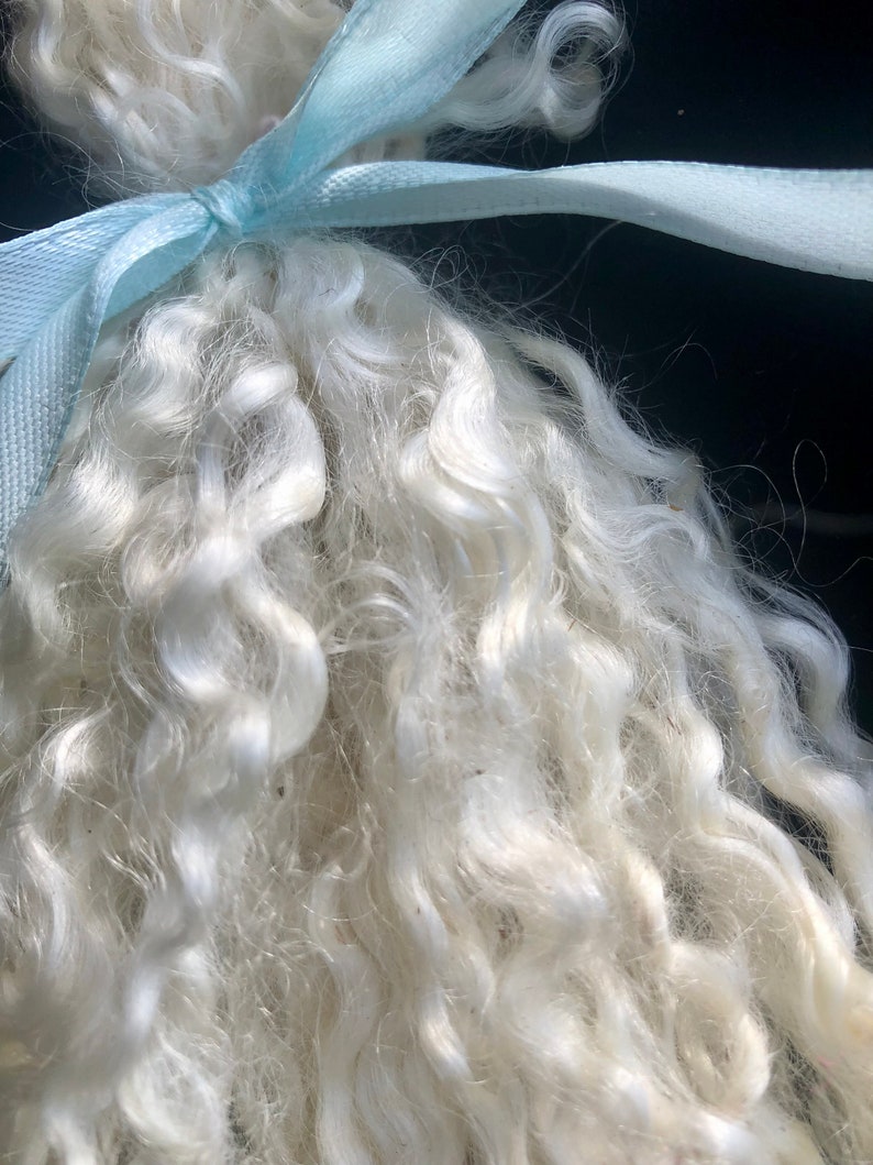 Silky Wensleydale lamb curly locks, hand washed and hand pulled, Pristine, beautiful locks 4 6 long, 1/2 ounce, no vm, felting, prime image 2