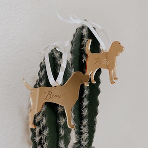 May include: Two gold-colored dog ornaments with white ribbon hangers. One ornament has the name "Beau" and the other has the name "Putter" engraved on them. The ornaments are displayed in front of a green cactus.