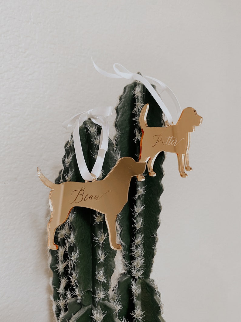 May include: Two gold-colored dog ornaments with white ribbon hangers. One ornament has the name "Beau" and the other has the name "Putter" engraved on them. The ornaments are displayed in front of a green cactus.