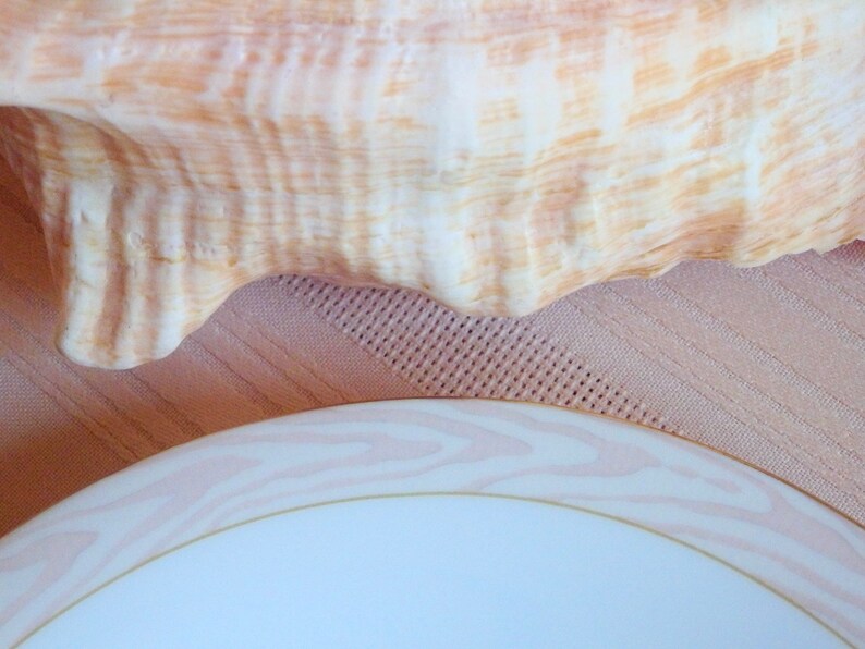 Mikasa CAG01 Silk Moire 12 Inch Round Serving Platter Chop Plate~Conch Shell Pink~Very EUC Vintage~60pc Service for 12 SOLD SEPARATELY