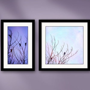 Dream and Dawn Framed Altered Wildlife Photography Art Prints by Susan Maxwell Schmidt