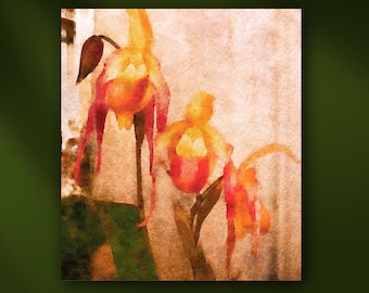 Lady Slipper Orchid Flowers Stretched Canvas or Unframed Floral Watercolor Giclée Wall Art Print in Orange, Coral, Yellow & Beige