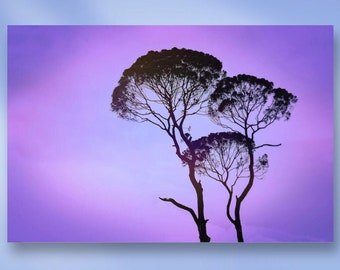 Purple Tree Silhouette Landscape Stretched Canvas or Unframed Giclée Nature Photography Wall Art Print in Ombré Black, Mauve & Blue