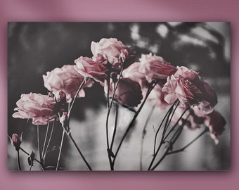 Romantic Rose Flower Garden Metal or Unframed Giclée Selective Color Photography Wall Art Print in Blush Pink, Gray, Black & White