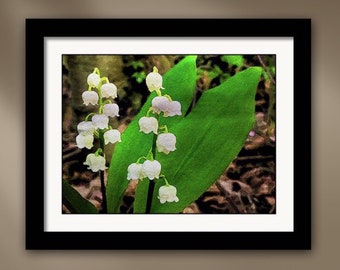 Lily of the Valley Flowers Framed Spring Floral Watercolor Giclée Wall Art Print in White, Green & Brown 13.5" - Susan Maxwell Schmidt