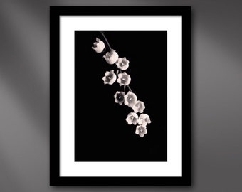 Lily of the Valley Flowers Framed Dreamy Noir Nature Photography Giclée Wall Art Print in Black & White 16.5" - Susan Maxwell Schmidt
