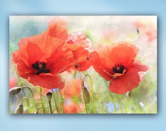 Poppy Flowers in Watercolor Stretched Canvas or Unframed Feminine Floral Giclée Wall Art Print in Red, Blue and Green on White