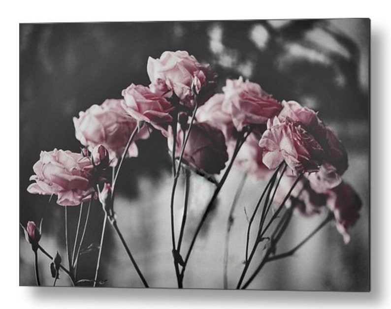 Eleanors Garden Floral Selective Color Photography Metal Wall Art Print by Susan Maxwell Schmidt