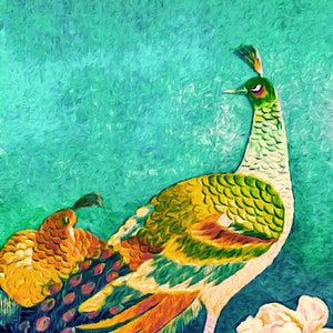 The Handsome Peacock Asian Oil Painting Art Print by Susan Maxwell Schmidt