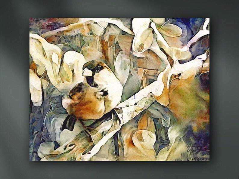 The Inquisitive Sparrow Watercolor Wildlife Portrait Stretched Canvas Art Print by Susan Maxwell Schmidt