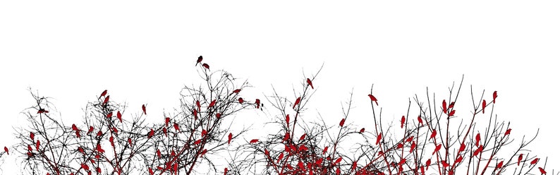 The Redbird Tree Art Print by Susan Maxwell Schmidt