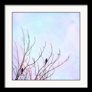 Dawn Framed Altered Wildlife Photography Art Print by Susan Maxwell Schmidt