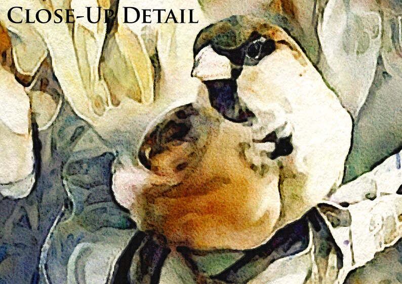 Detail of The Inquisitive Sparrow Watercolor Wildlife Portrait Art Print by Susan Maxwell Schmidt