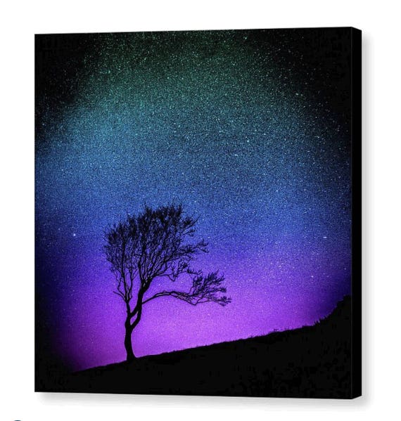 Tree Sunset Canvas Framed Wall Art Purple Blue Black Ombre Sky Silhouette Print Starry Starry Night By Susan Maxwell Schmidt 14 X 14