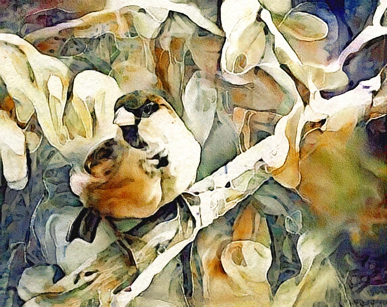 The Inquisitive Sparrow Watercolor Wildlife Portrait Art Print by Susan Maxwell Schmidt