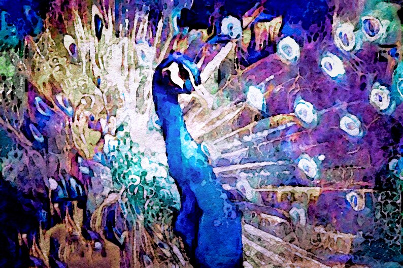 Royal Peacock Art Print by Susan Maxwell Schmidt