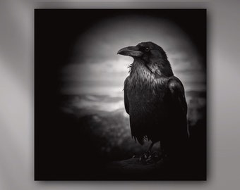 Gothic Raven in Black and White Stretched Canvas or Unframed Giclée Noir Corvid Wildlife Portrait Photography Wall Art Print