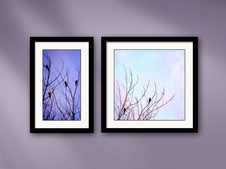 Dream and Dawn Framed Altered Wildlife Photography Art Prints by Susan Maxwell Schmidt