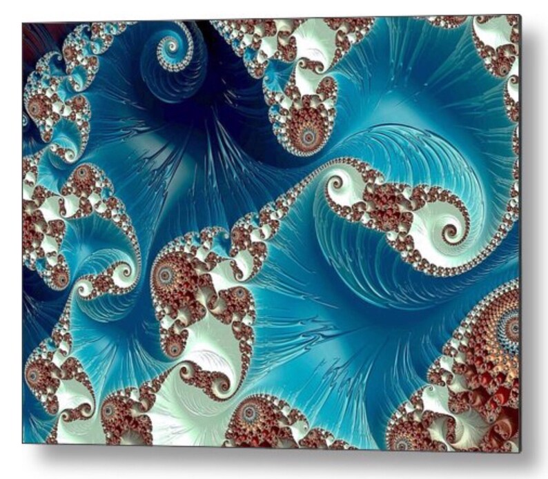 Emerald Queen's Nautilus Framed Seashell Metal Wall Art