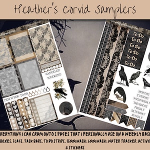 May include: A set of printable planner stickers featuring a black and white raven theme. The stickers include boxes, flags, task bars, to-do strips, and a water tracker. The stickers are designed for use in a weekly planner.