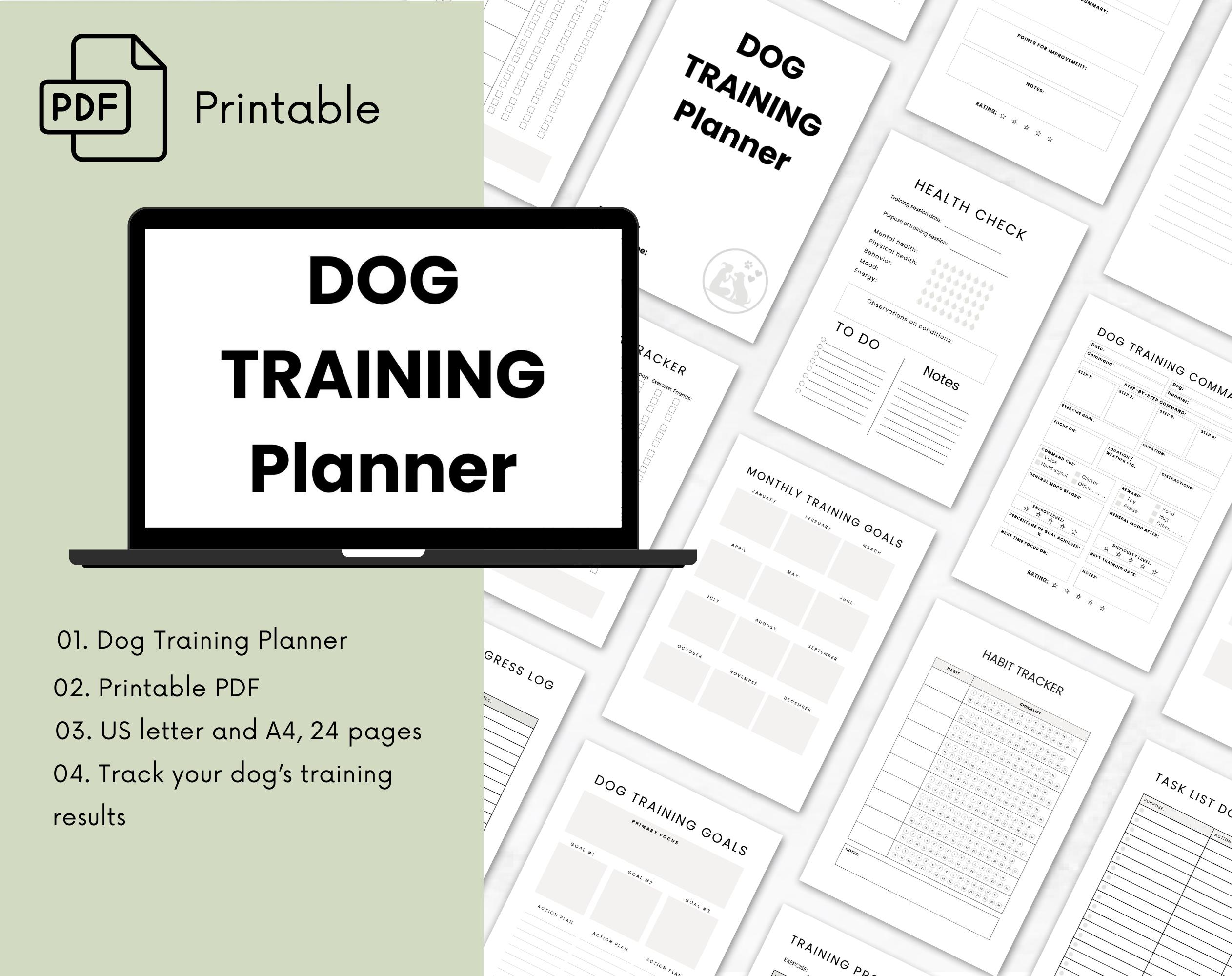 Dog Training Plan: Unlock Your Pup's Potential