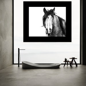 Horse Wall Art Print Digital Download Horse Wall Art Printable Horse Art Horse Photo Black And White Photography Wild Horse Digital Art