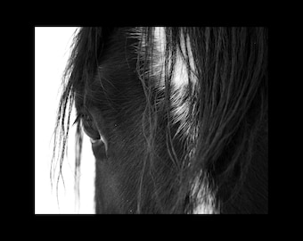 May include: A monochrome close-up of a horse's head, highlighting the eye, ear, and mane. The horse's dark coat contrasts with the white streaks in its mane. The image is a study in texture and light, with a focus on the animal's features.