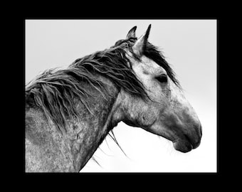 Black and White Horse Photography Prints, Horse Wall Art Decor, Modern Minimalist Fine Art, Horse Lover Gift