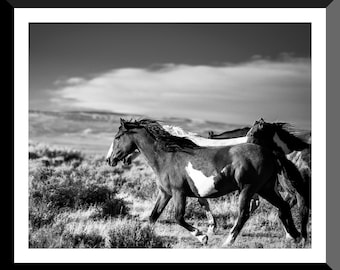 Horse Photography Horse Canvas Wall Art Horse Canvas Home Decor Horse Prints Black and White Prints Wild Horse Prints Photo Art Wall Art