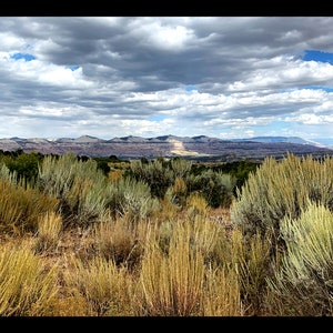 Fine art photograph of the desert landscape under a sky of clouds.  Printed on paper, canvas, metal, acrylic. Custom sizes.