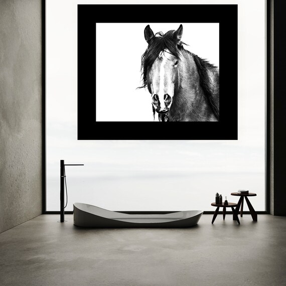 Horse Wall Art Print Digital Download Horse Wall Art Printable Horse Art Horse Photo Black And White Photography Wild Horse Digital Art