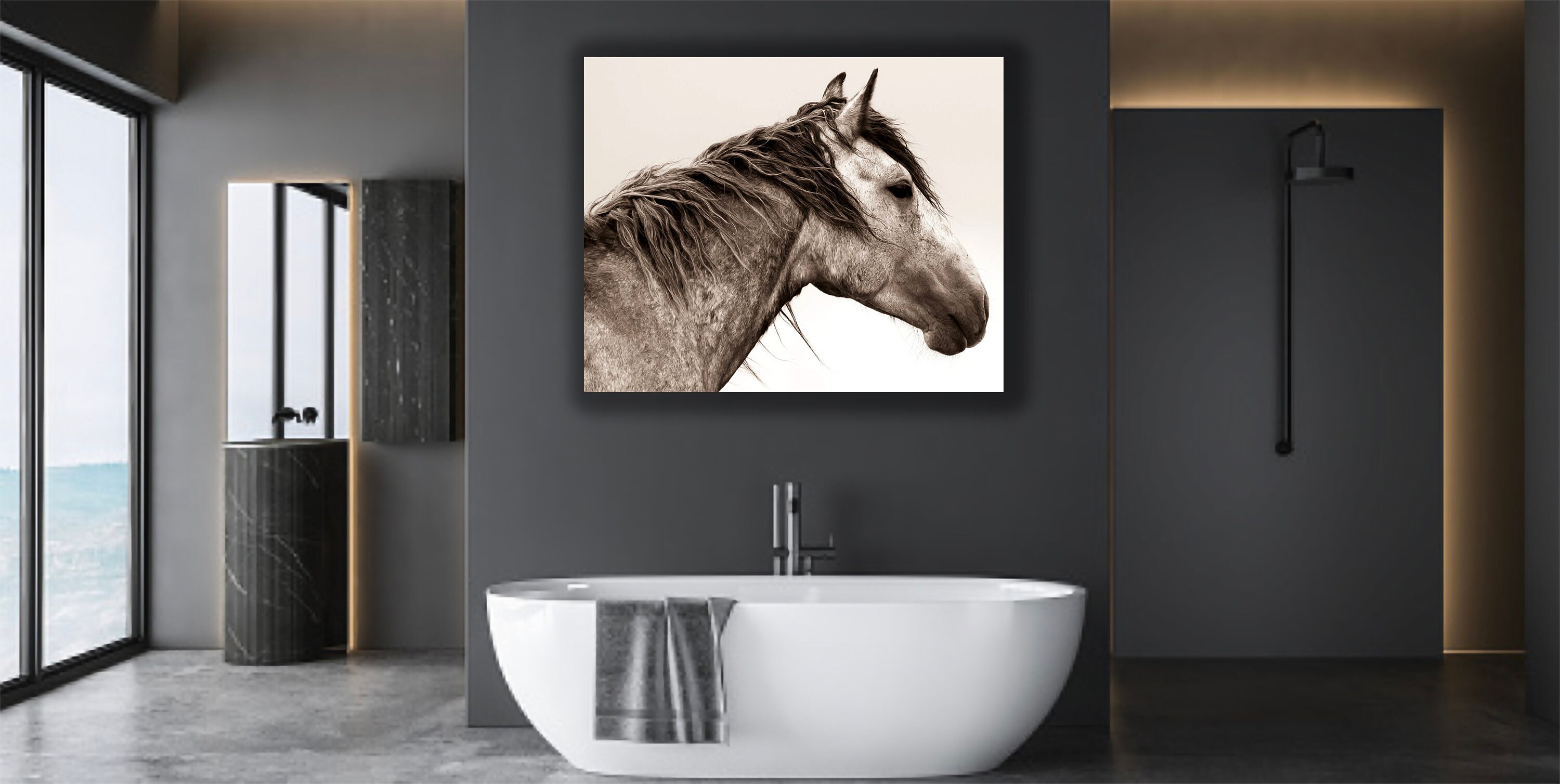 Fine Art Wild Horse Prints, Black and White Wild Horse Photo, Desert ...