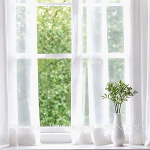 Puede incluir: Una ventana blanca con cortinas blancas y una estantería con libros en el fondo. Un jarrón con plantas verdes se encuentra en el alféizar de la ventana.