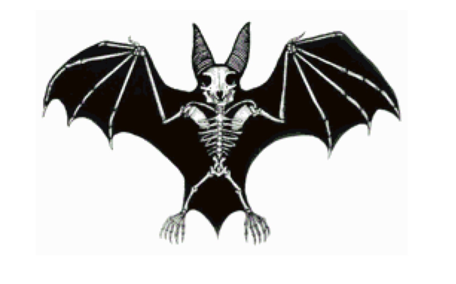 Bat Skeleton Cross Stitch Pattern - Etsy