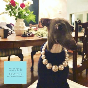 The Phoebe Pearl Dog Collar, Beaded Dog Collar, Dog Pearls, Pearl Dog Necklace image 4
