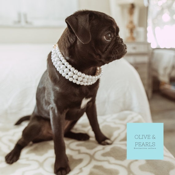 14K Yellow Gold Diamond and Pearl Dog Collar 0.15ct – KyleChanDesign