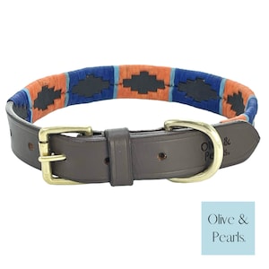 Handmade Leather Dog Collar: Cerulean Polo Style, Brass Hardware