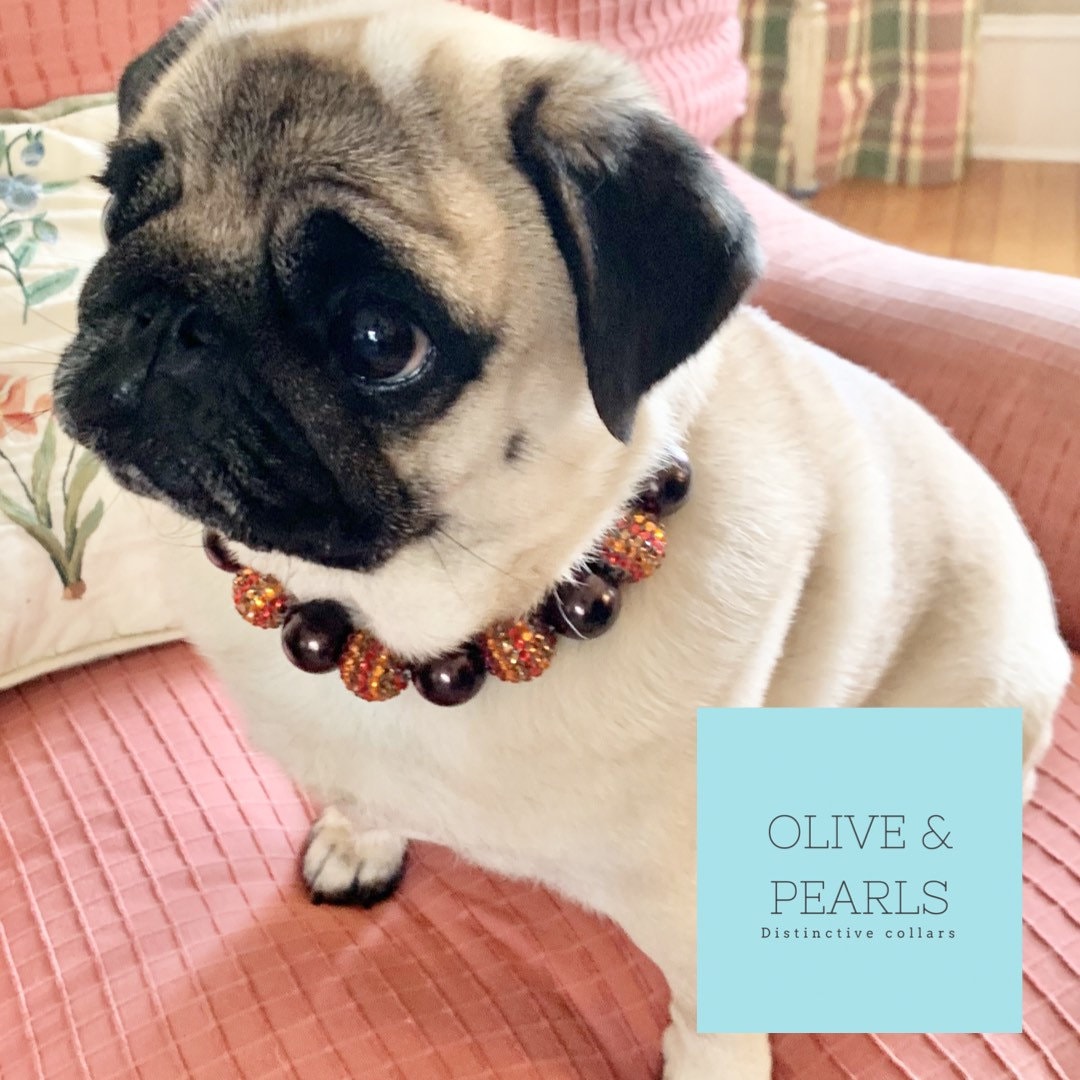 The pumpkin Pearl Bead Dog Collar Custom Dog Etsy