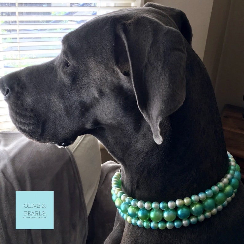 The ariel Pearl Dog Collar XL Pearl Dog Collar Etsy