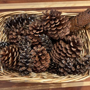 May include: A woven basket filled with various sizes of brown pine cones. The basket has two handles and is set on a wooden surface with a striped pattern. The pine cones vary in size and shape, with some being long and slender.