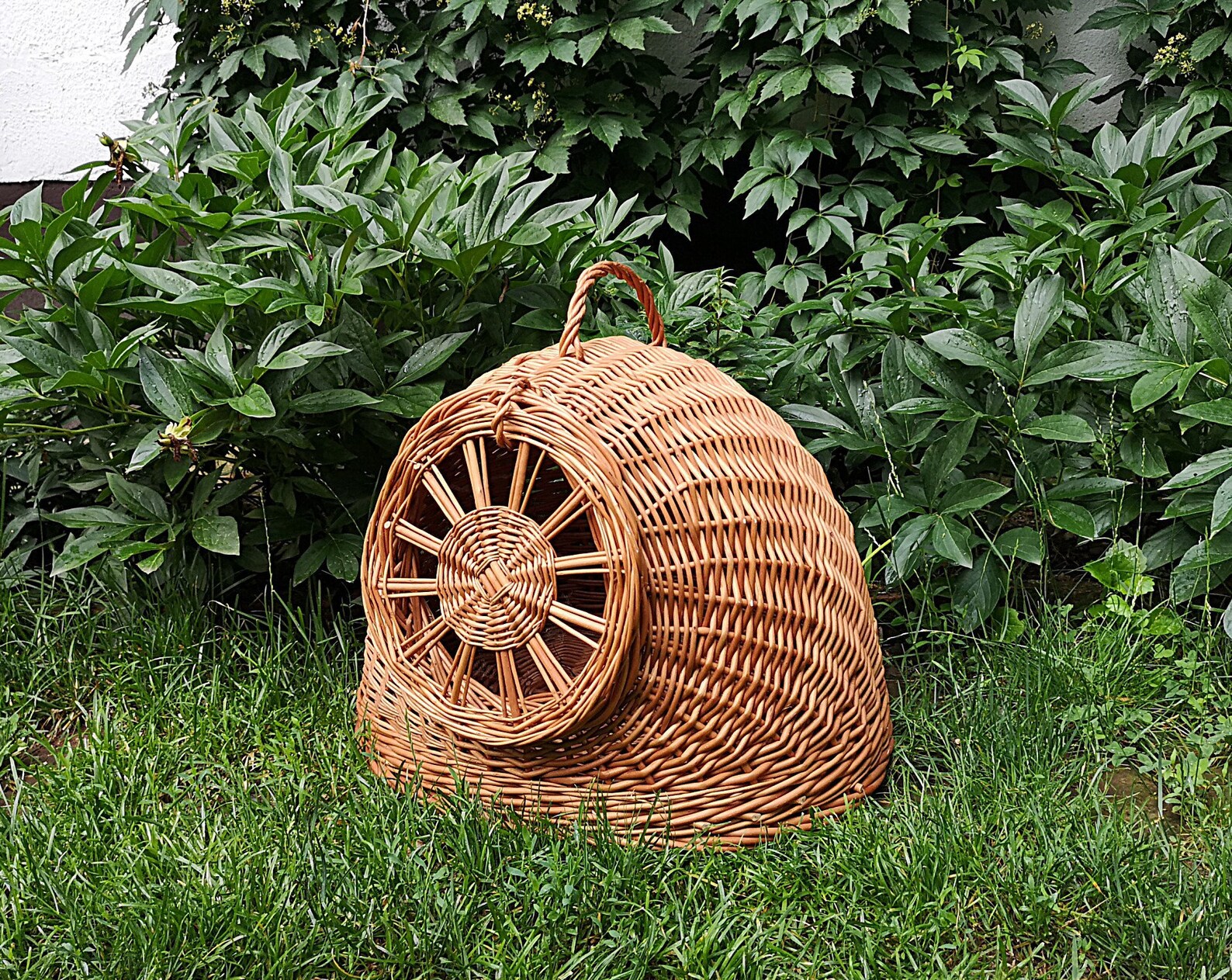 Wicker Cat Bed Cat Cave Wicker Cat Basket Wicker Cat House Etsy