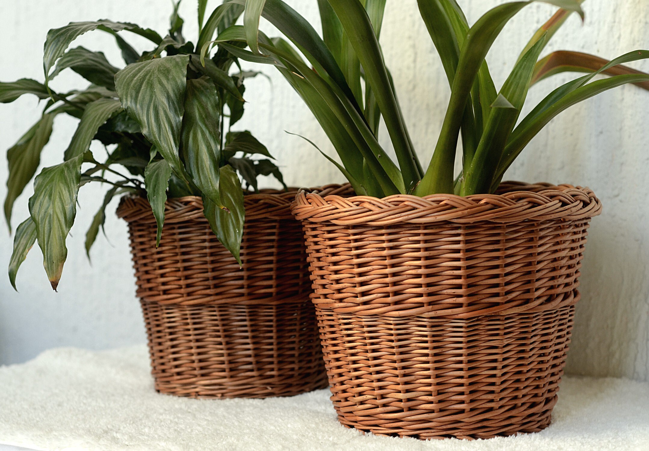 Wicker Plant Pot Basket Plant Pot Wicker Basket Planter Etsy
